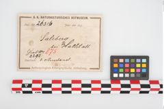 Etikett zu Bronzebuckelarmreif (NHMW-PRAE-026316)